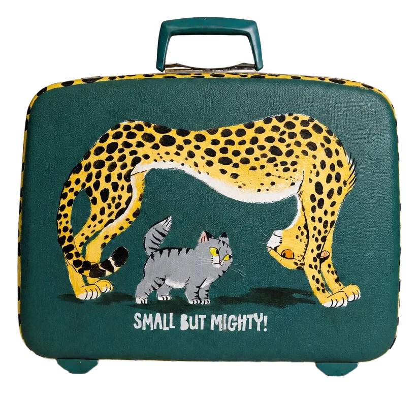 Illustrated suitcase by Galia Bernstein, view 1