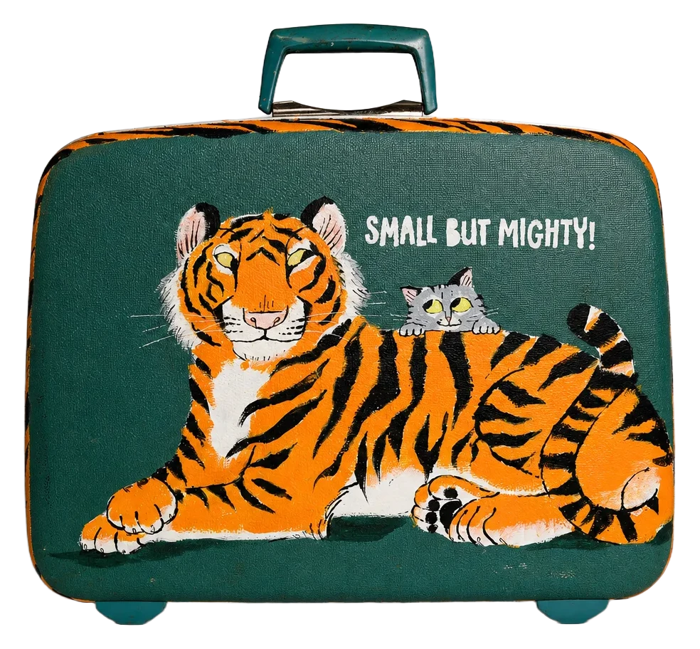 Illustrated suitcase by Galia Bernstein, view 2